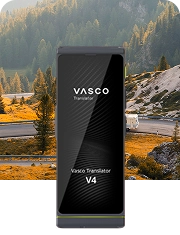 Kamper jedzie drogą otoczoną górzystymi lasami, obok Vasco Translator V4 w kolorze Stone Gray.
